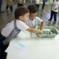 galeria_31