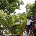 galeria_10