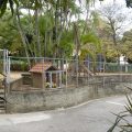 galeria_4